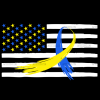 American Flag Down Syndrome-7 DTF Transfer
