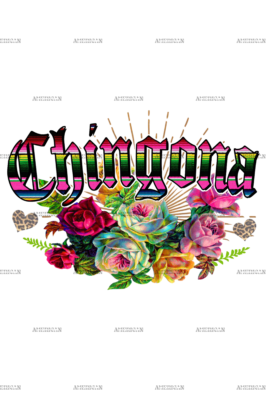 Chingona Serape Print Dtf Transfer