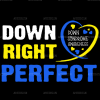 Down Right Perfect DTF Transfer