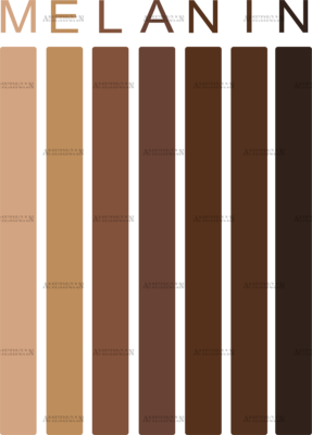 Melanin Strips DTF Transfer