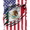 Mexican American Flag Dtf Transfer