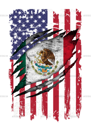 Mexican American Flag Dtf Transfer