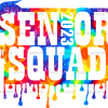 Senior Squad 2023 DTF Transfer