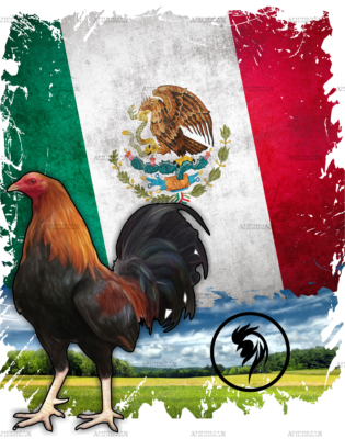 Gallo Rooster Dtf Transfer
