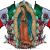 Mexican Flag Lady Of Guadalupe Dtf Transfer