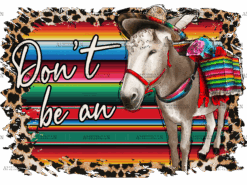 Don't Be An Donkey DTF Transfer