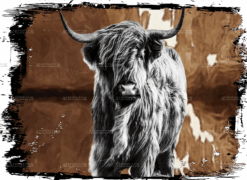 Highland Cow-2 DTF Transfer