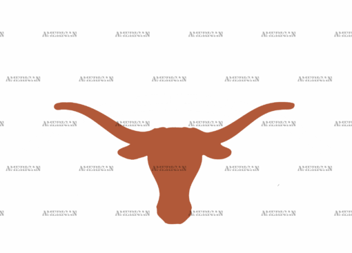 Longhorns Texas Orange DTF Transfer