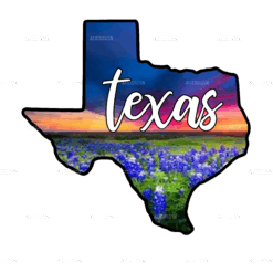 Texas Sunset Blue Bonnets DTF Transfer