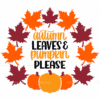 Autumn Leaves Pumpkin Please DTF Transfer