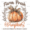 Farm Fresh Pumpkins-3 DTF Transfer
