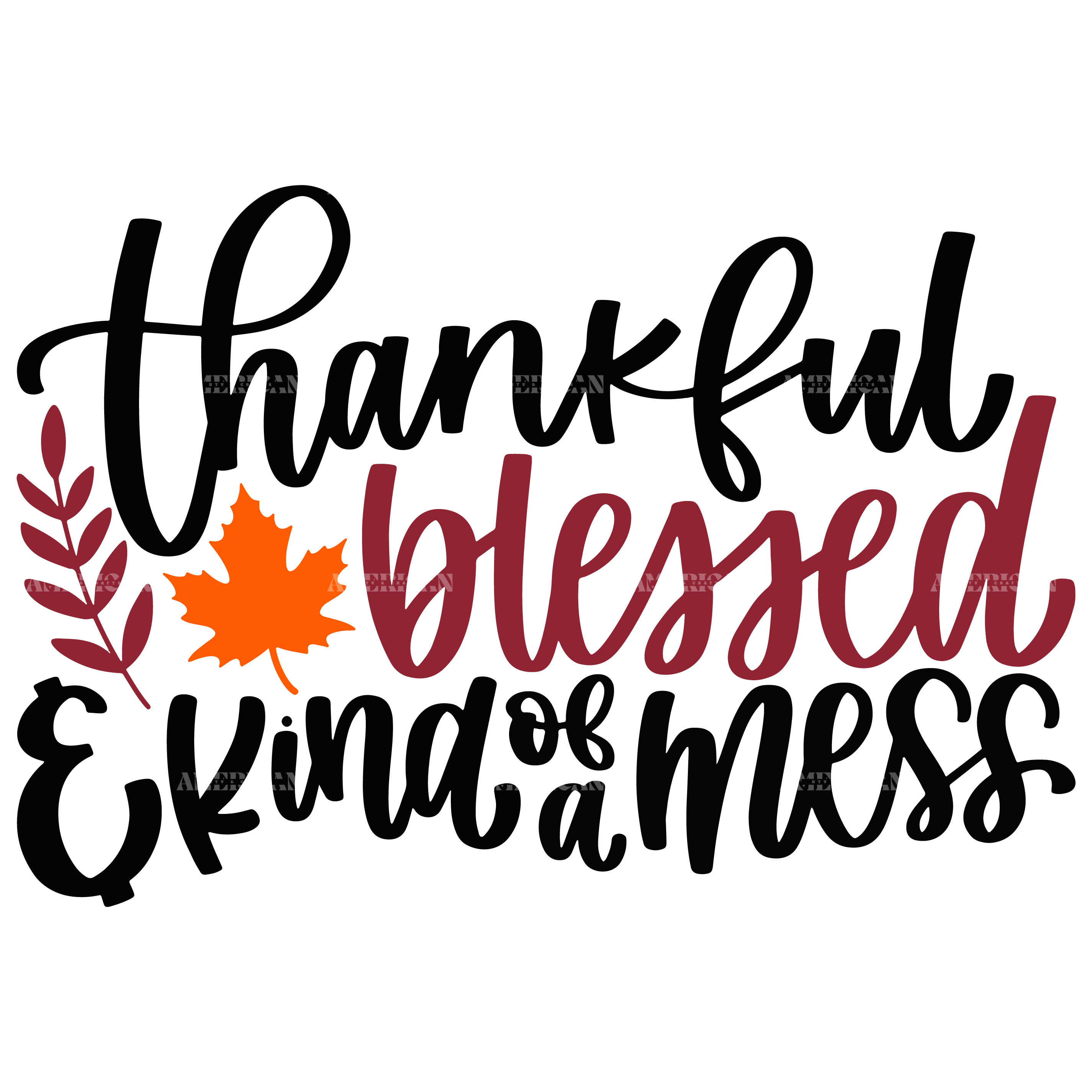 Thankful Blessed Kind Of A Mess DTF Transfer